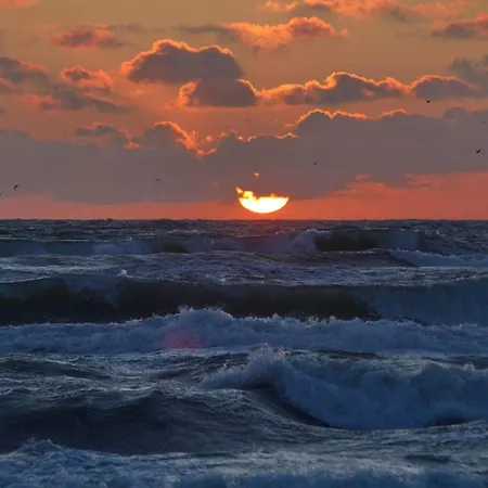 Vakantiehuis 6 Person In Hirtshals-by Traum *